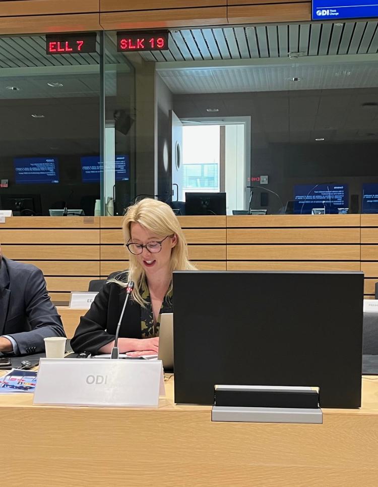 Dora_Meredith's tweet photo. Honoured to present at the Council discussion chaired by #EU2023ES on the importance of the triple transition in driving sustainable development and addressing poverty. Fantastic to have the chance to inform policy discussion with @ODI_Global research https://t.co/9no24EAkSF