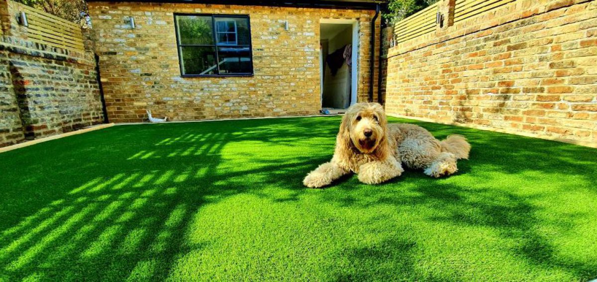 GrassAbu's tweet photo. Soft on paws, yet hard wearing and long-lasting, our #pets artificial grass for sale means no more muddy paws or patchy lawn stains. Call Now: 056-600-9626, Email info@artificialgrassabudhabi.ae  visit :https://t.co/Z1QDO9nspj https://t.co/iQniZkuIx9