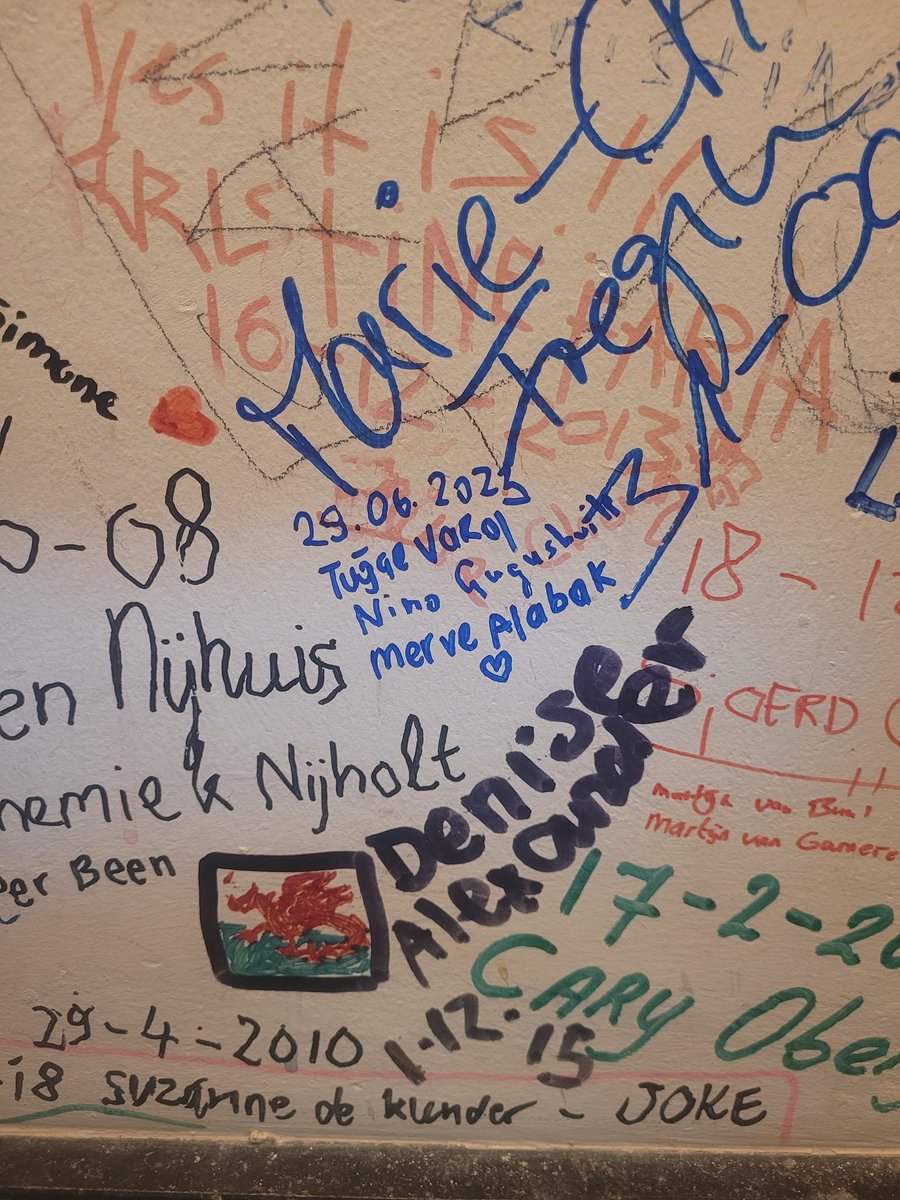 Tuğçe Varol tweet media