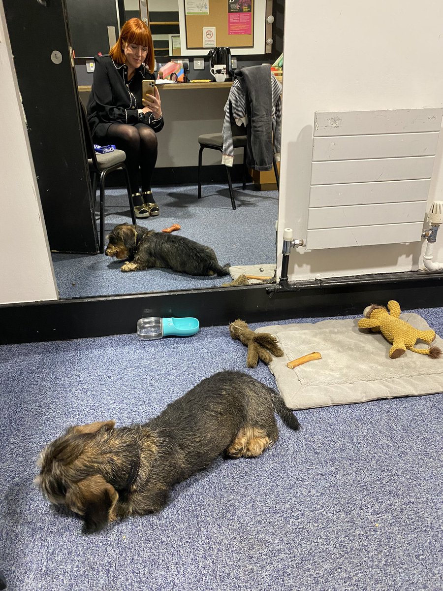 callybeaton's tweet photo. Backstage last night at @BatonOfHopeUK @brightdome. ‘Suicide happens because people want the pain to end, they don’t want their lives to end’. Divas, drag queens, dogs &amp; #StrangerOnTheBridge @MrJonnyBenjamin &amp; @neillaybourn @FindingMikeFilm @samaritans @theCALMzone @MindCharity🙏🏻 https://t.co/bhI89sLZEK