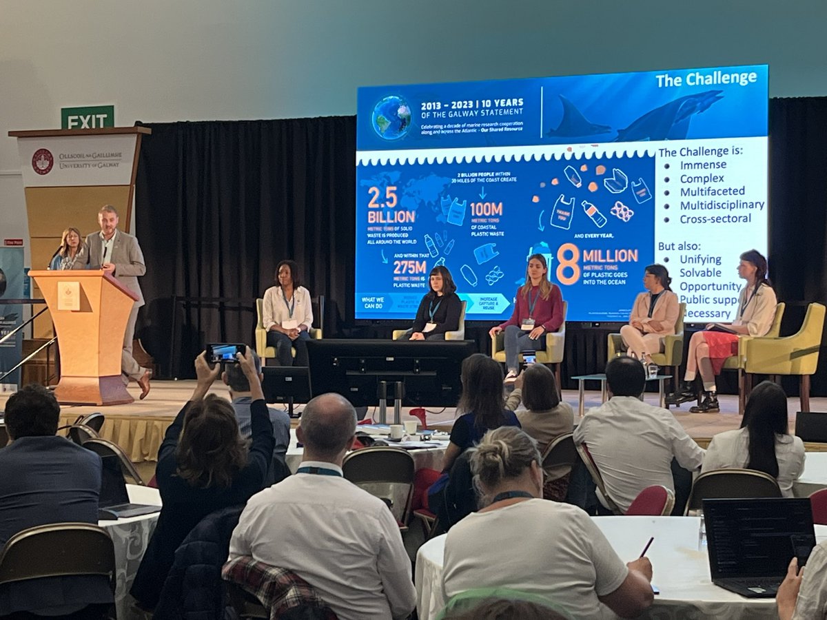 Ivo Grigorov tweet media