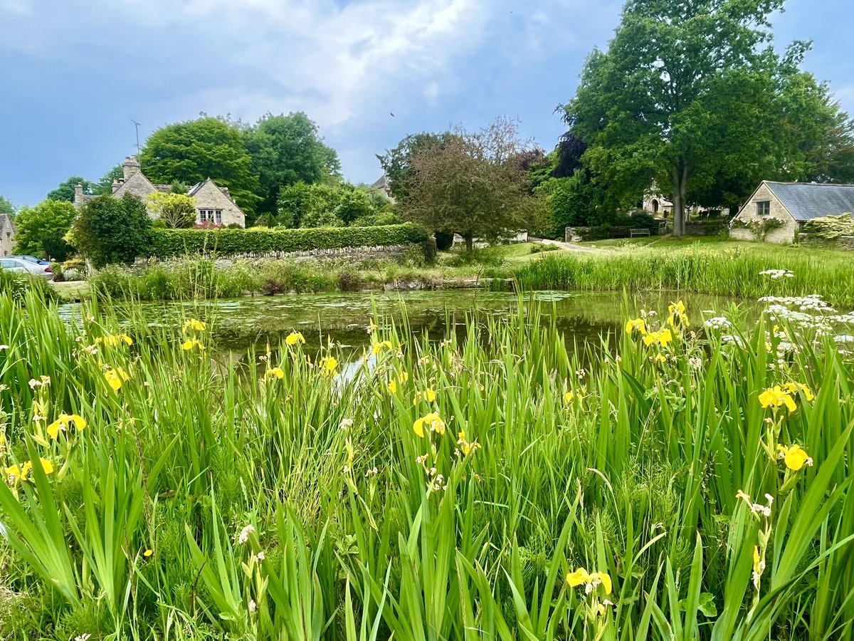 🎺Funding opportunity🎺 in partnership with @NaturalEngland we have grants for five libraries to connect communities with nature. To register for the info webinars on 17 or 21 July please email info@librariesconnected.org.uk