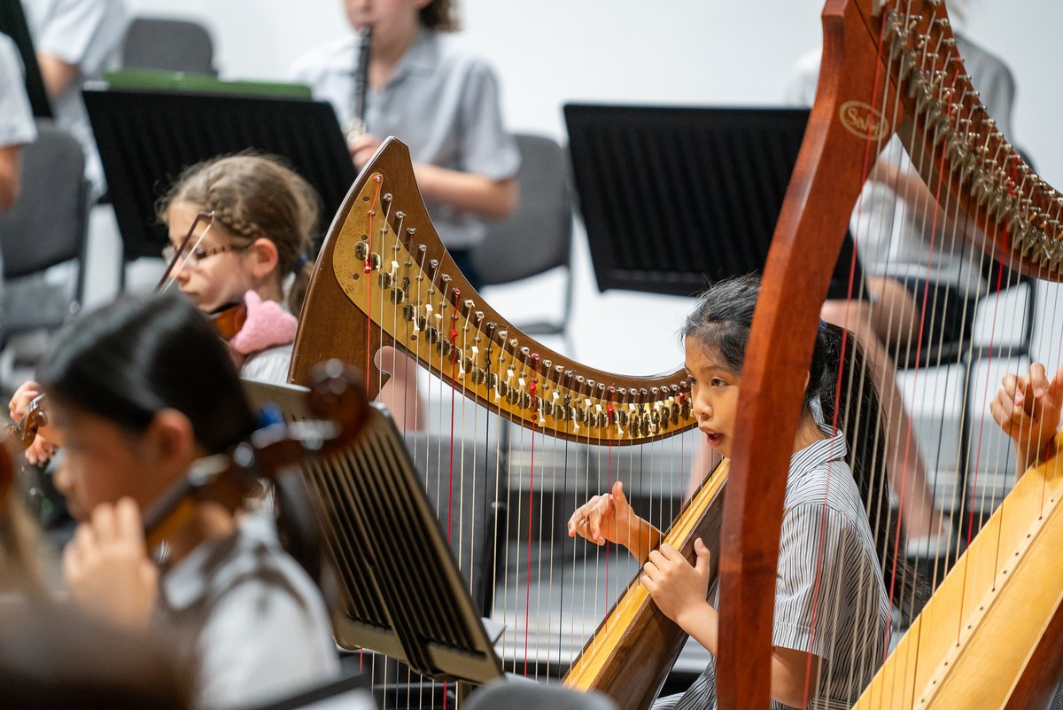 STAHSPrep's tweet photo. A wonderful evening of music and song at the #STAHSPrep Summer Concert 🎵🎶 https://t.co/3vyXdN3e2c