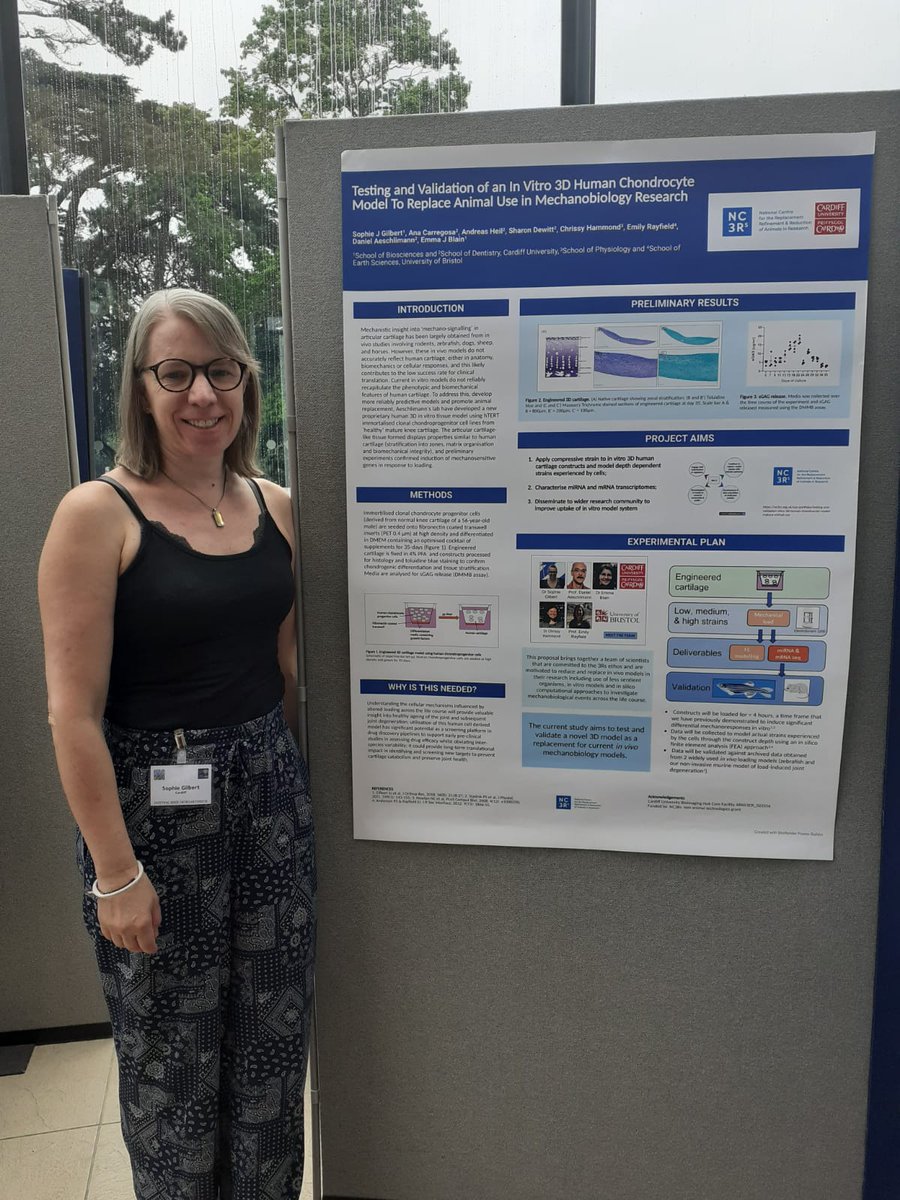 Lots of fantastic science at the Cutting Edge OA meeting. Really pleased to be presenting work on our newly funded @NC3Rs grant! 
#cardiffuniversity #NC3Rs #cartilagebiology #mechanobiology #cellmodels