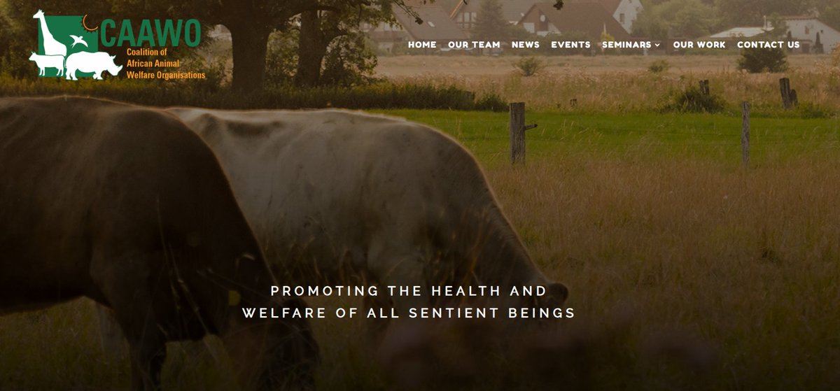 Check out our new website promoting animal welfare and connect with others who share your love for animals! www.caawo.or #animalwelfare #protectwildlife 🐾🐶🐱