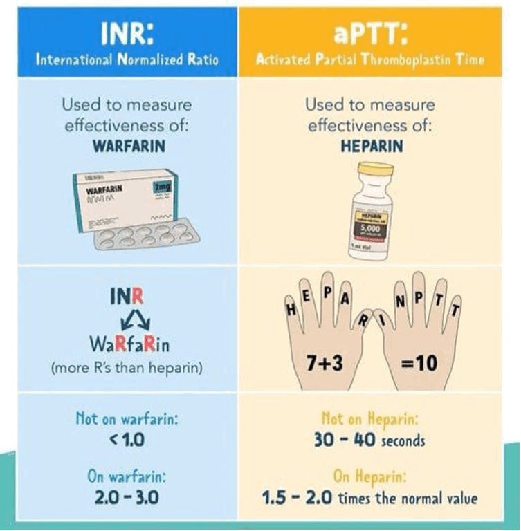 ECPP3's tweet image. 🚨As a high alert medication #Warfarin measured by ———? And #Heparin ———-? 

#FOAMed  #MedEd #medicaleducation #MedicalStudents #medicalpractice #emergency #medicine 
#TwitterRx #Medtwitter #معلومة_طبية_صحة #تثقيف_دوائي
