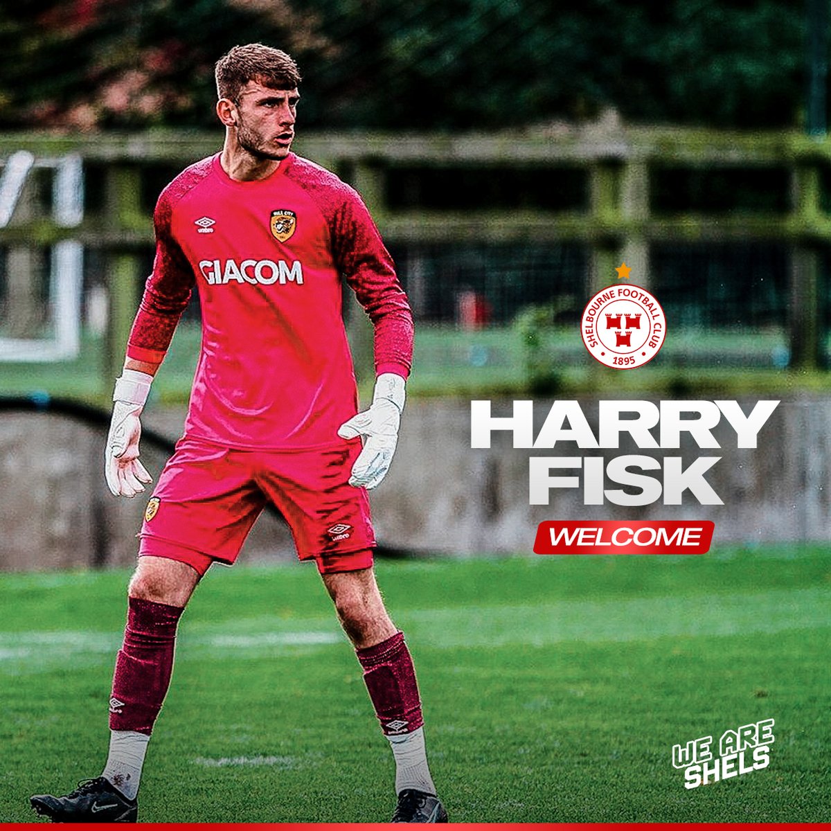 We are delighted to confirm the signing of 𝗛𝗮𝗿𝗿𝘆 𝗙𝗶𝘀𝗸 from Hull City 

📲 | shelbournefc.ie/harry-fisk-joi…

#DublinsFinest | #Reds2023
