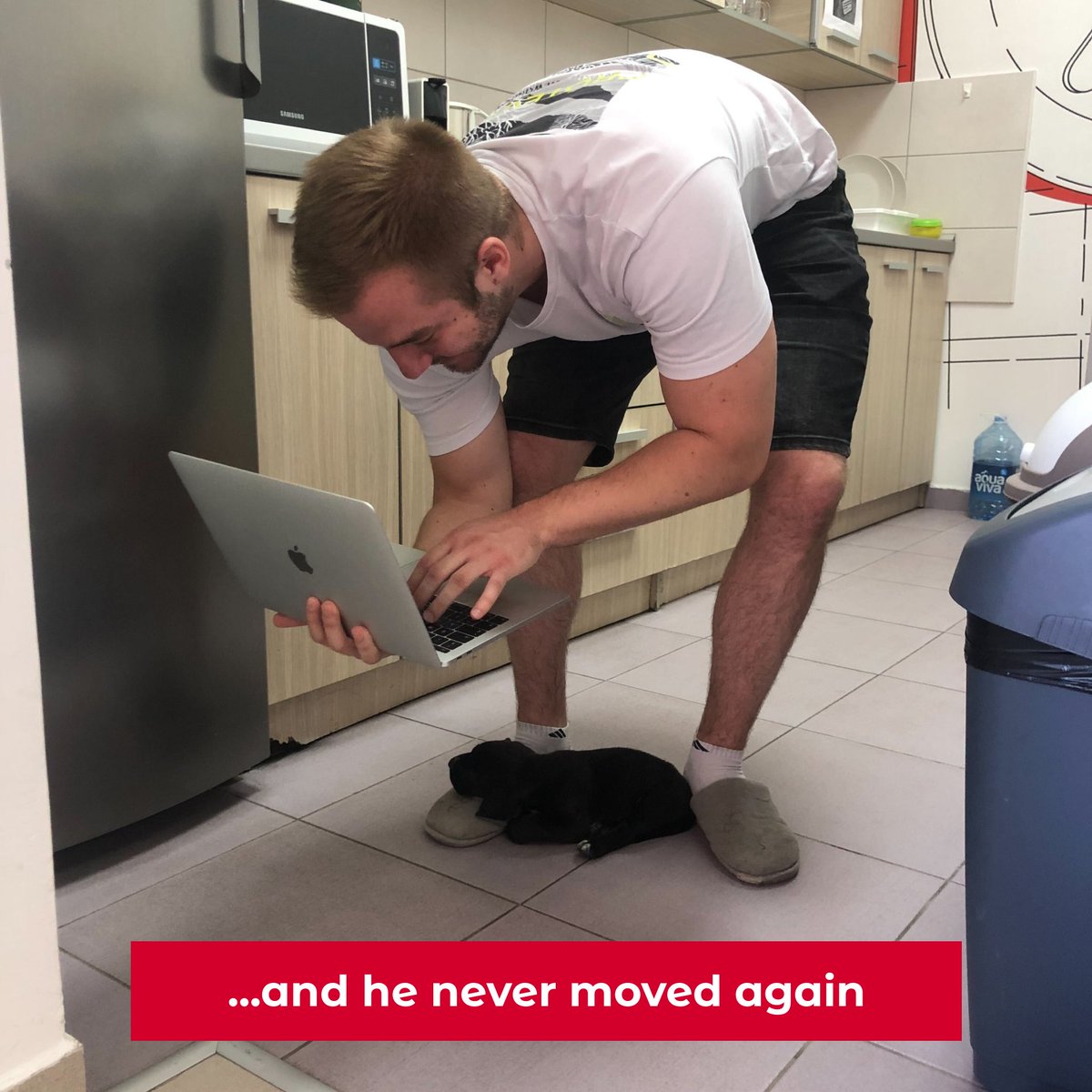 ItMarble's tweet photo. Behind the scenes shenanigans. ✨
Take a sneak peak into our everyday life, where work and fun are in balance. 🤹
Also, we have a new addition to our team, meet Hades, who is the sleepiest boy ever. 🐶 https://t.co/LHqmuJTGuq