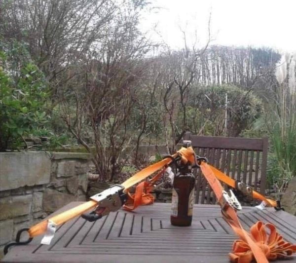 InWaterland tweet media