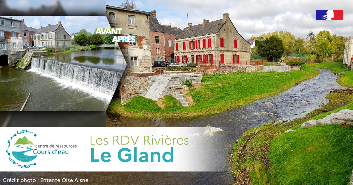 [Les RDV Rivières] en #SeineNormandie sur le #Gland: Effacement de deux seuils en centre urbain de #Hirson: réduction du risque #inondation et restauration de #continuiteecologique : professionnels.ofb.fr/fr/node/1261
<a href="/EptbOise/">Entente Oise Aisne</a> <a href="/CENHDF/">CEN_Hautsdefrance</a> @CBN_Bailleul