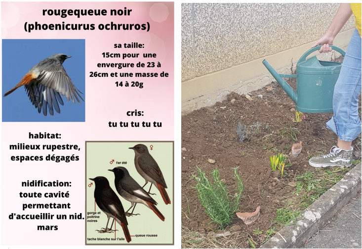 EDD Ac-Besançon tweet media