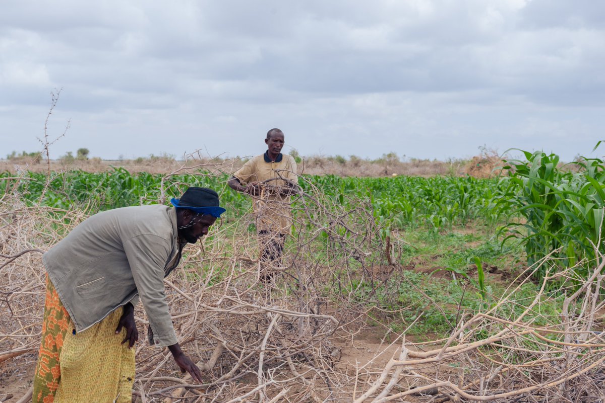 UNICEFKenya's tweet photo. As a young person living in an Arid and Semi-Arid area, (ASAL), I wish each of us took up the personal responsibility to plant trees and take care of our environment so that we can also benefit.
#Childrensdevolutionconference2023 https://t.co/msPcuCl6jD