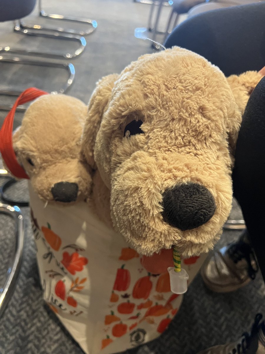 I love the <a href="/VetEd2023/">VetEd2023</a> clinical skills sessions - especially seeing colleagues bring models with them! We have Gilbert one of our Ikea dogs with us, and Gilby (son of Gilbert) #GosigDogs a foundational component of skills labs? #veted2023 #clinicalskills