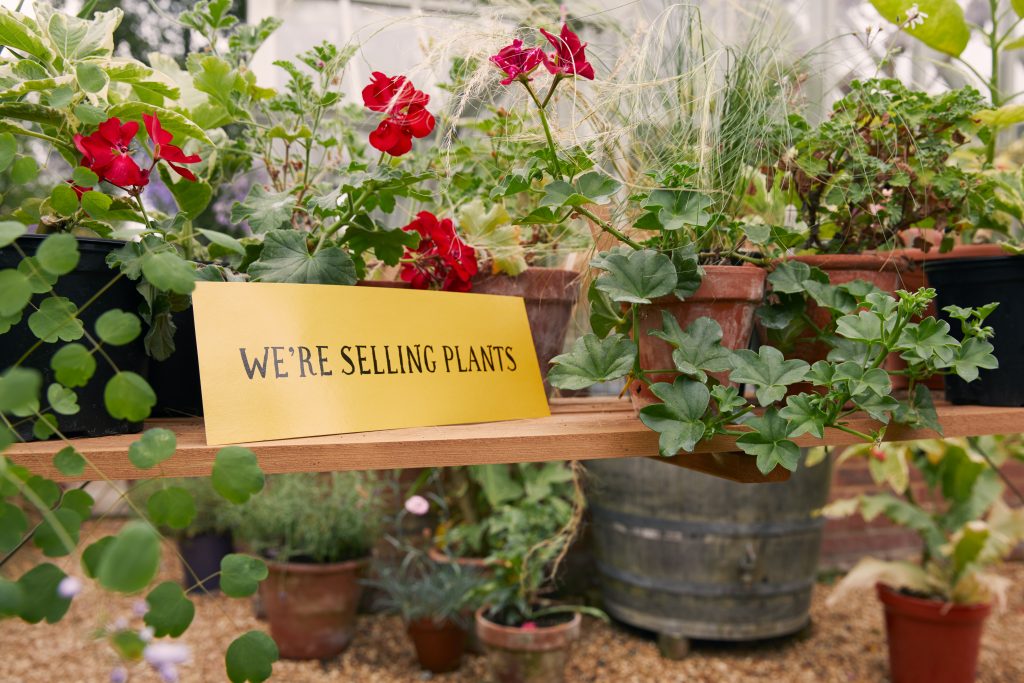 We hope to see you all at our Summer Fair on 15th July.
We need your help in preparation for the fair.

We are looking for donations of bottles of wine and plants for our plant sale.

If you're able to donate please send your donations to the hospice Monday- Friday 8.30-4.30pm.
