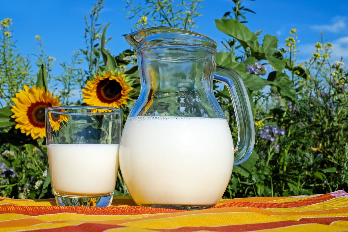 Mammal's milk: a nutritional powerhouse! Packed with proteins, carbohydrates, and healthy fats, it provides essential nutrients for growth and development, calcium for strong bones to immune-boosting antibodies, milk offers a unique blend of goodness #MilkNutrition #HealthyBones