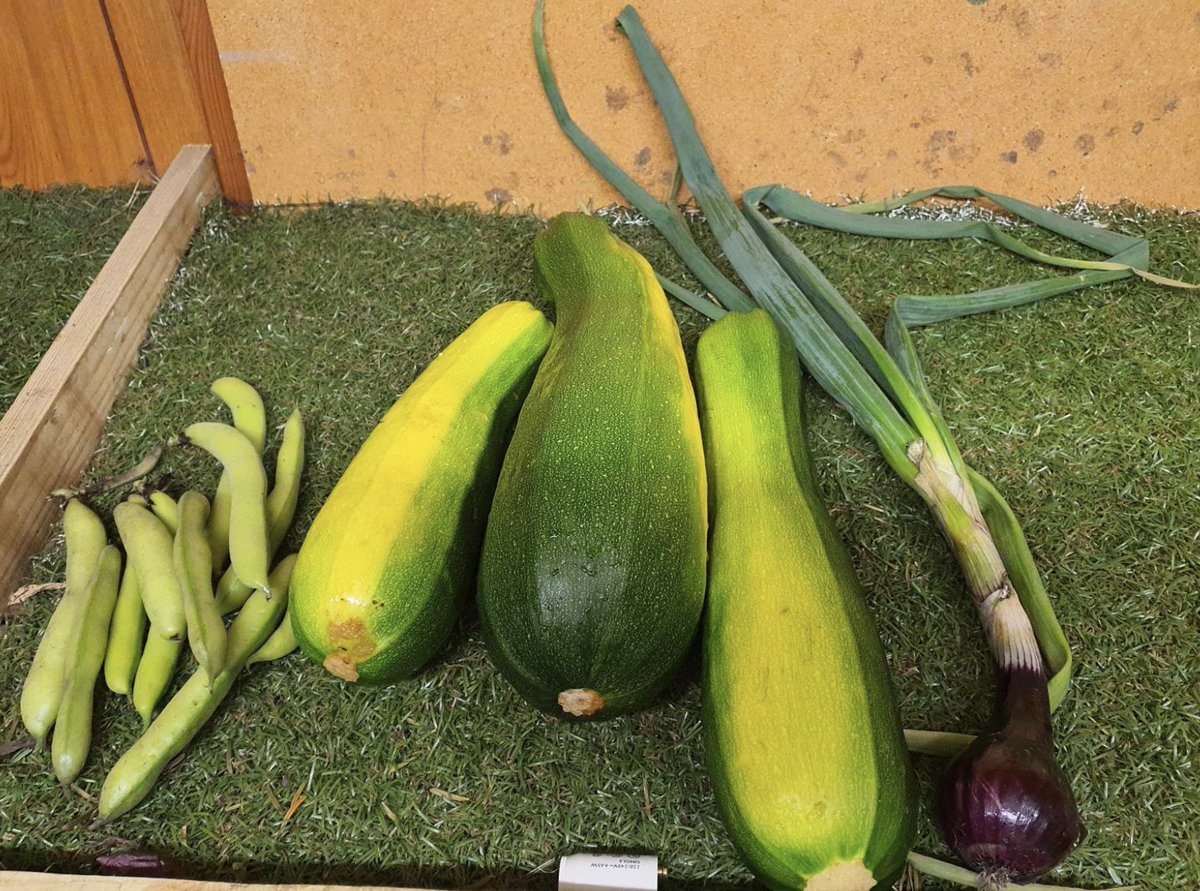 PSSpeople's tweet image. Did you know that PSS has its own farm? Yep, Dutch Farm is a green space used by our #WellbeingCentres and #MakingDays service. We're lucky to have lots of green-fingered gurus who love to work their magic on the farm. Here’s Keith, showing some of the veg they've harvested 😀🥦