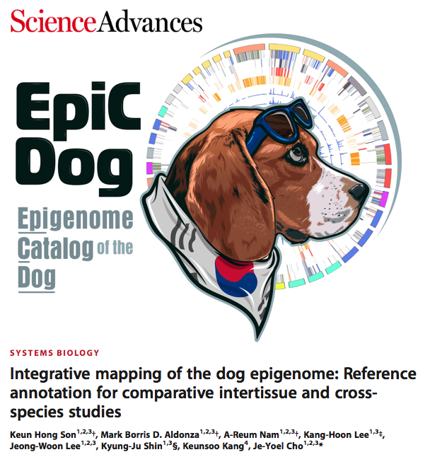 new__hong's tweet image. Exciting news! Our lab’s latest paper in @ScienceAdvances on mapping the dog epigenome is out 🐶🧬! Close collaboration with my co-first authors @PrecursorCell + @MethylAReum! 🧵 👇(1/17) #ScienceResearch #ScienceAdvancesResearch #Epigenome
science.org/doi/10.1126/sc…