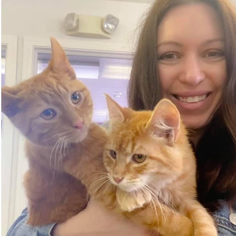 SAVING 3,000 CATS A YEAR ➡️ link.chtbl.com/saving3000cats
Kimberly La Russa describes how the <a href="/tenlivesclub/">Ten Lives Club</a> has managed to save the lives of 3,000 cats a year.