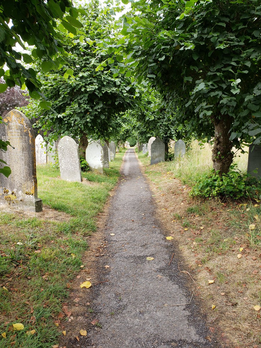 Dr C Palmer-Patel tweet media