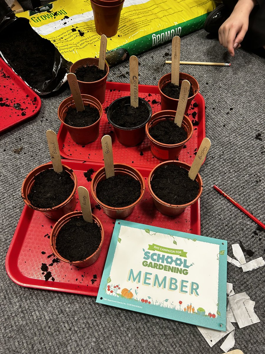 Hanson Gardening club have planted their first batch of plants, let’s do how they grow!