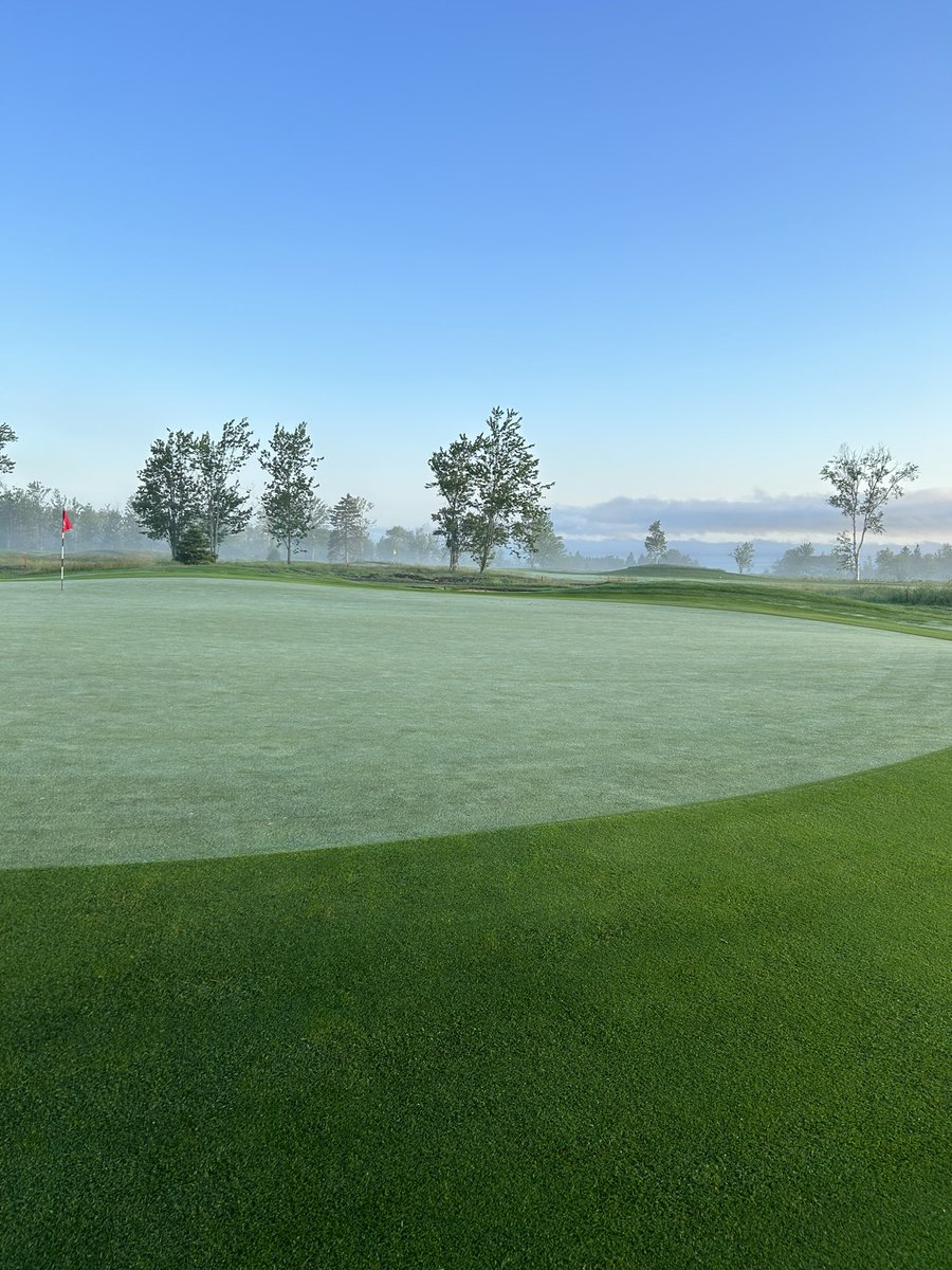 Mowing some fairways today and rough where we can. Collors and approaches being cut as well. Please be patient, there will be clippings and plugged balls.  Greens will play well other than being soft. Still cart path only. Have a great day!