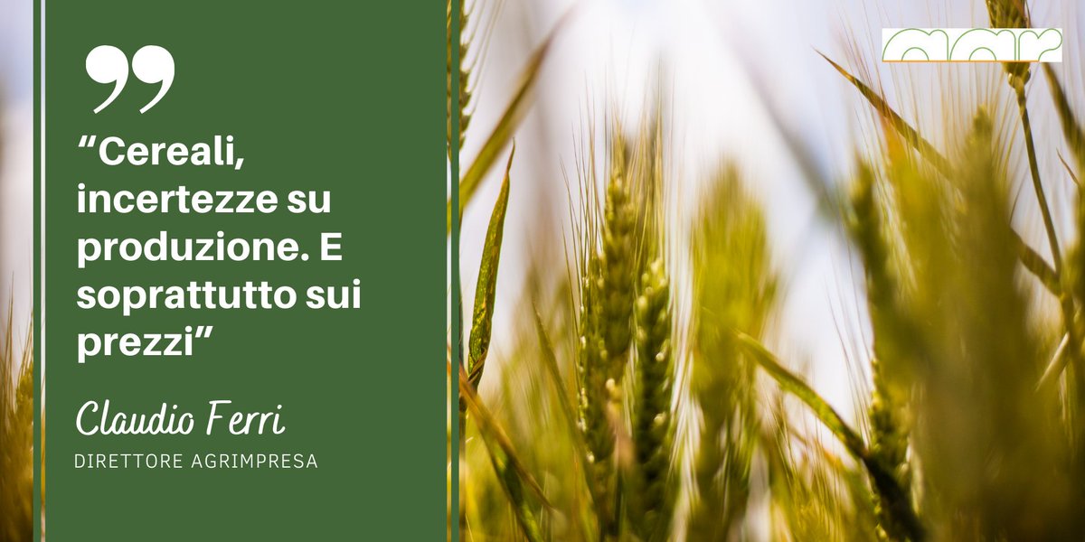#Cereali, incertezze su produzione e soprattutto sui prezzi: #Frumentotenero: quotazioni altalenanti, costo materie prime sostenuto e la #nuovaPac mette le imprese agricole di fronte a scelte impegnative.
bit.ly/incertezzecere…