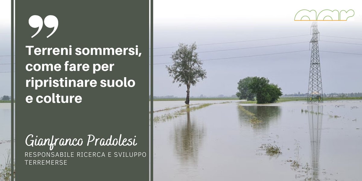 Gli allagamenti hanno lasciato sul terreno detriti e limo, oltre a creare problemi alle colture arboree per lungo tempo rimaste sommerse. Un articolo di Gianfranco Pradolesi,resp.  Ricerca e Sviluppo @Terremerse sugli interventi per ripristinare i terreni
bit.ly/ripristinoterr…