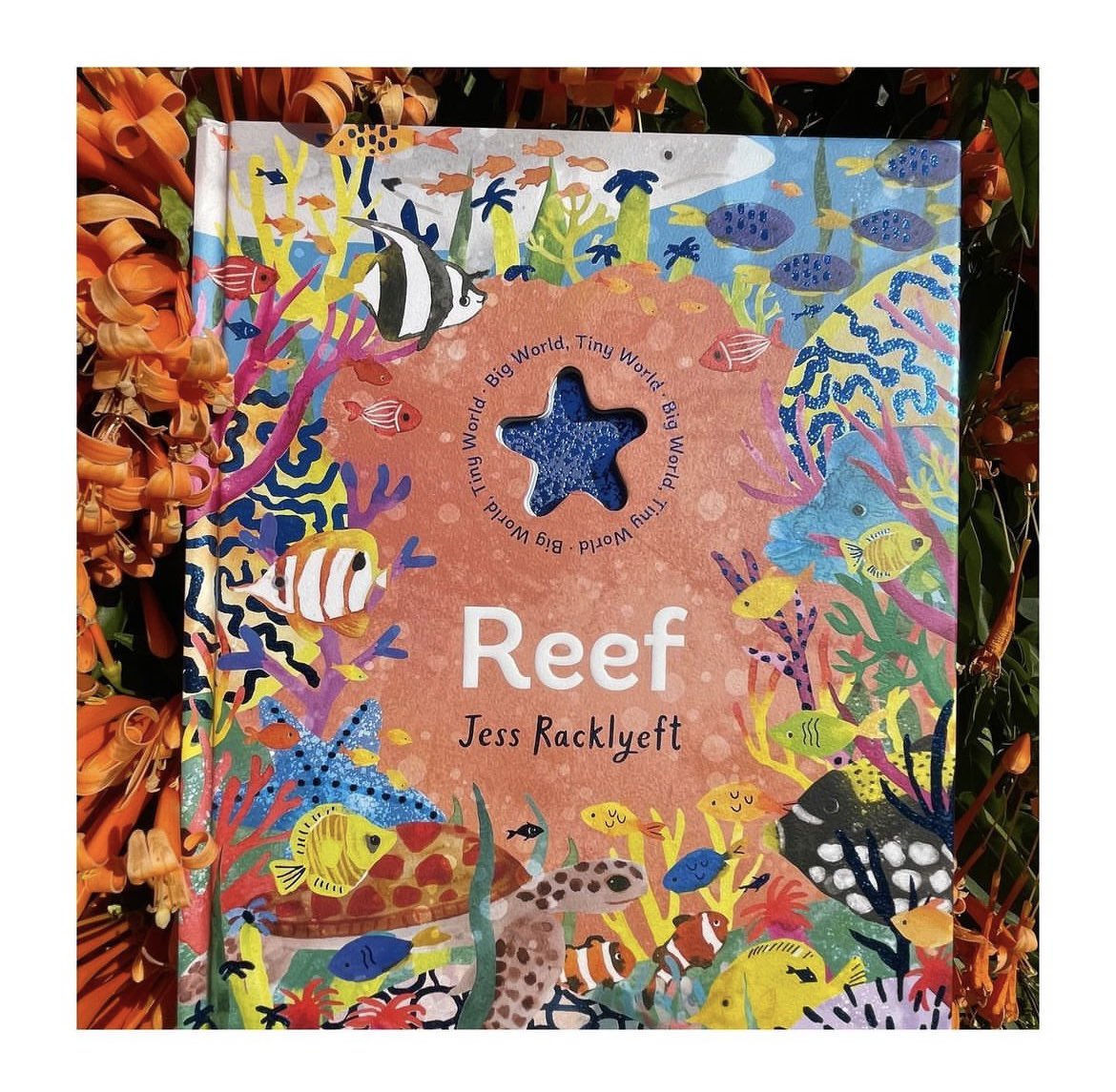 mybookburrow's tweet photo. A1. Reef by #JessRacklyeft
This magical book transports the reader to the big worlds and tiny worlds you can discover underwater by diving down to the reef.
‘Find waving anemones in smaller, warmer pools.
A world for tiny urchins and zipping fishy schools’
#picbookbc https://t.co/wnVGamxkUj