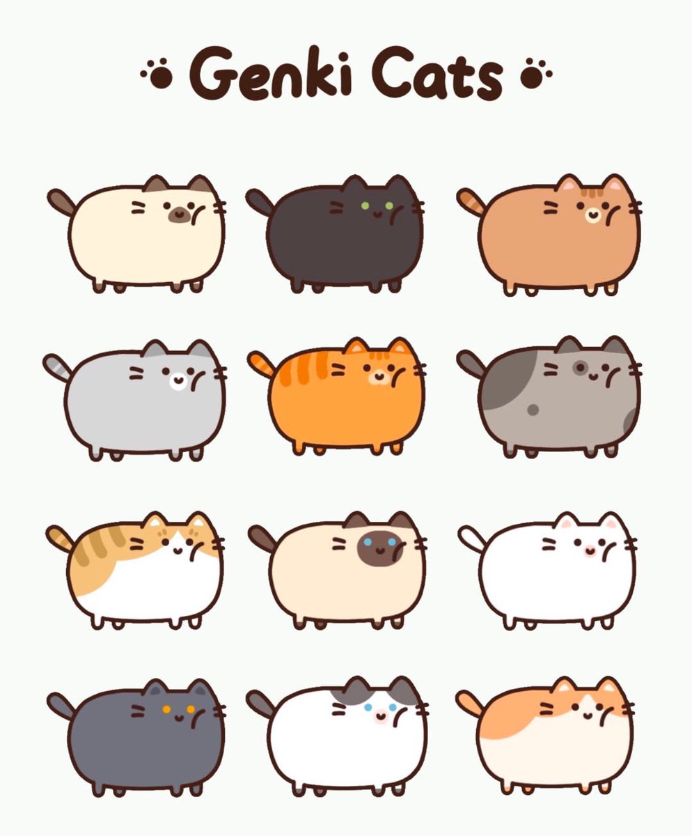 Genki Cats (💙,🧡) tweet media