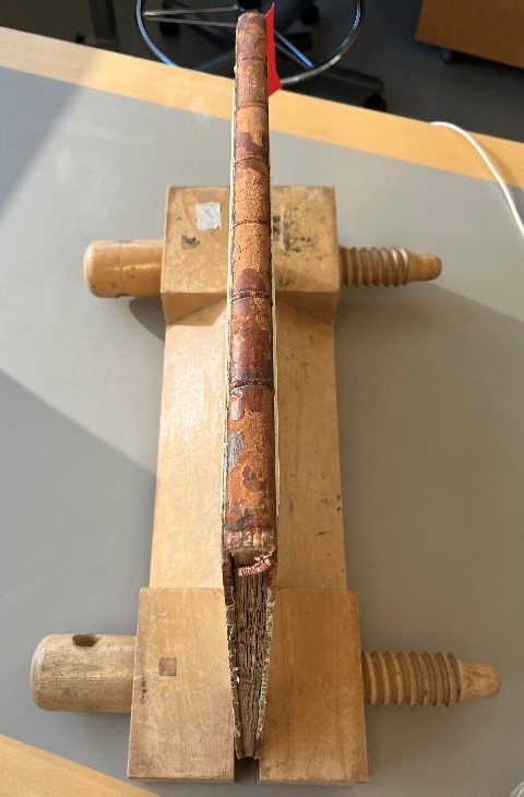 BL Collection Care tweet media