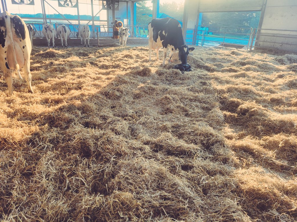 Ben Loewith tweet media