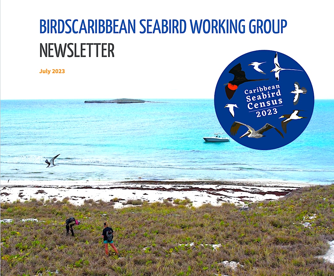 Birds Caribbean tweet media