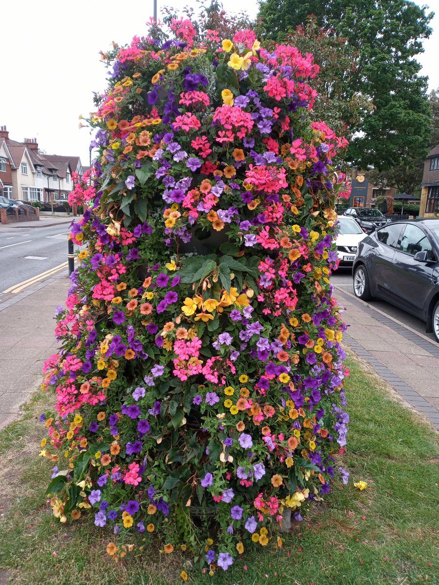 Alan Gardner 💙 tweet media