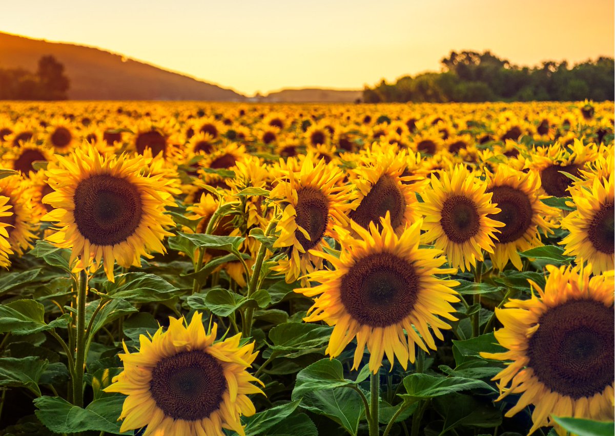 * Deputy Headteacher * 📌 Cranleigh, Surrey
We have an extraordinary school looking for an Inspirational Deputy Headteacher. lnkd.in/eBSCrbke
Call Emmaus Leadership on 01737 652 043 to find out more about this wonderful role.
#EmmausLeadership #deputyheadteacher #catholic