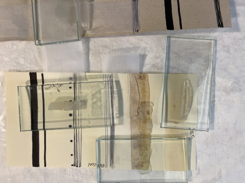 BL Collection Care tweet media