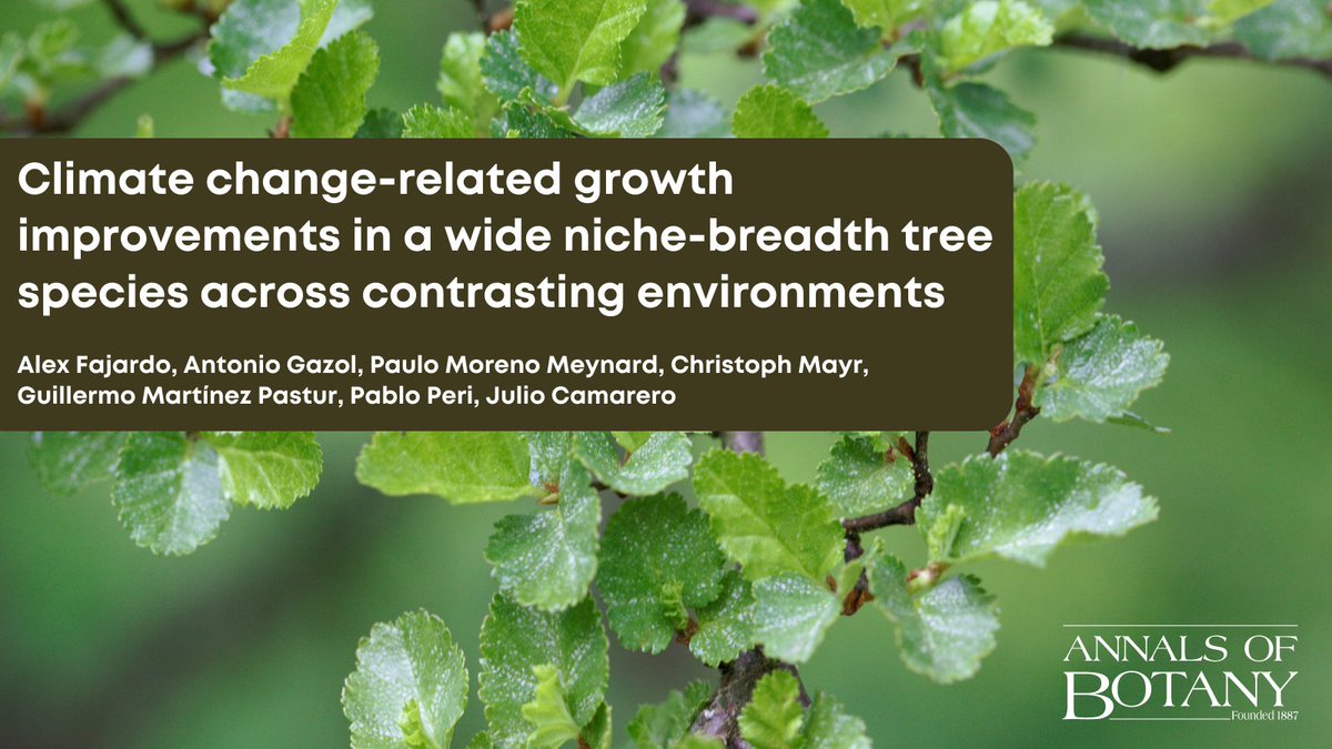 📢Exciting news! The newly published paper ‘Climate change-related growth improvements in a wide niche-breadth tree species across contrasting environments’ in @annbot by Alex Fajardo is now #openaccess for a limited period of time. doi.org/10.1093/aob/mc… #AoBpapers (1/8)