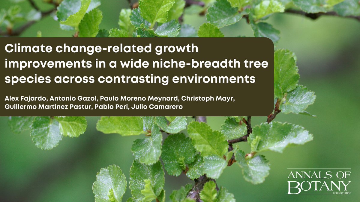 Annals of Botany (@annbot) on Twitter photo 📢Exciting news! The newly published paper ‘Climate change-related growth improvements in a wide niche-breadth tree species across contrasting environments’ in <a href="/annbot/">Annals of Botany</a> by Alex Fajardo is now #openaccess for a limited period of time. doi.org/10.1093/aob/mc… #AoBpapers (1/8) 📢Exciting news! The newly published paper ‘Climate change-related growth improvements in a wide niche-breadth tree species across contrasting environments’ in <a href="/annbot/">Annals of Botany</a> by Alex Fajardo is now #openaccess for a limited period of time. doi.org/10.1093/aob/mc… #AoBpapers (1/8)
