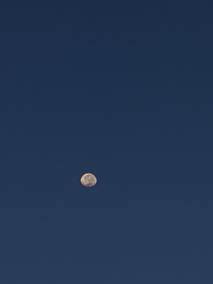 anajuuvs's tweet image. 🌛 #pocom3