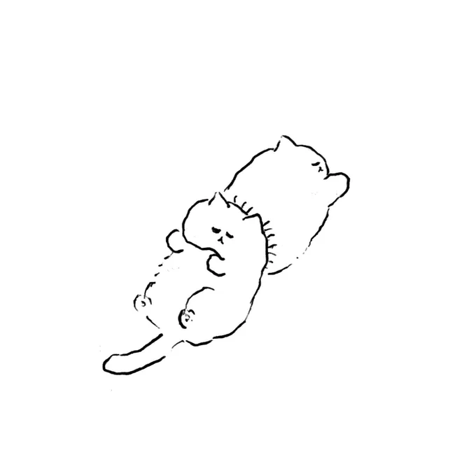 ねこ 