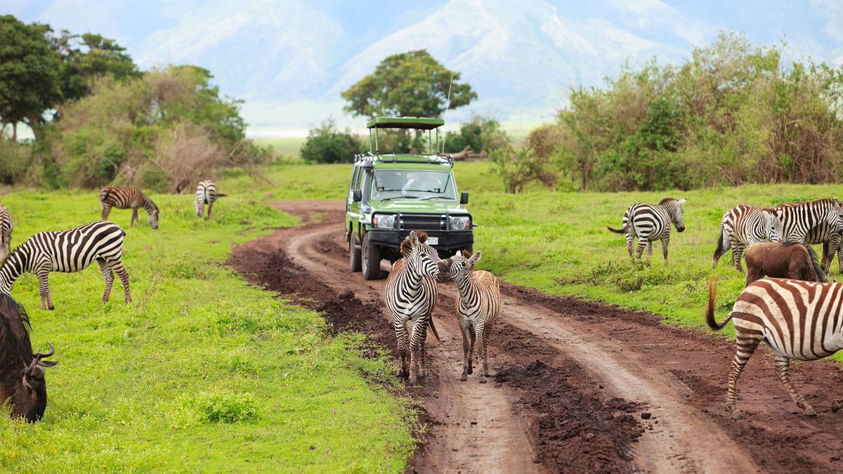 🌍✈️ Explore Tanzania's hidden treasures with a tap of your finger! 

The Ministry of Natural Resources and Tourism is embracing digital innovation at 47th Dar es Salaam International Trade Fair (DITF)—Sabasaba, bringing you a virtual journey like never before. #DigitalTourism