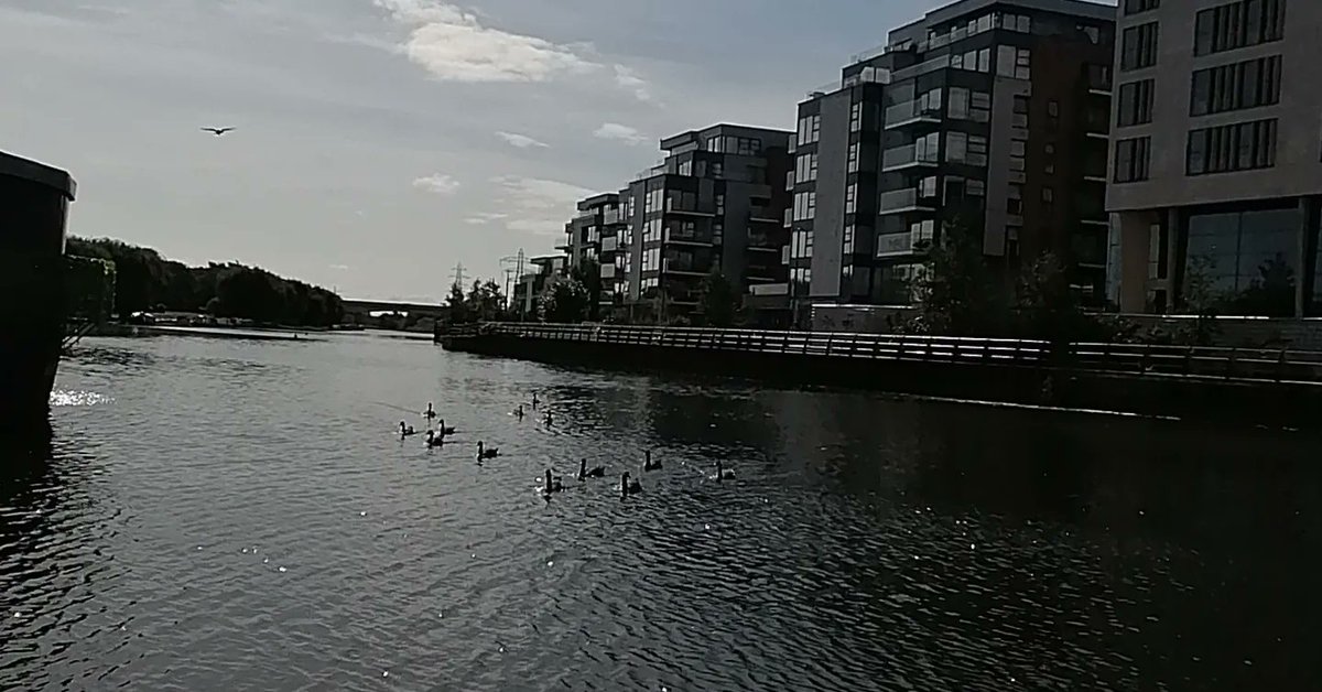 EWMPaul's tweet image. River Nene, Peterborough
@EnvAgency
#rivernene #peterboroughuk
#narrowboats #imagongoozeler