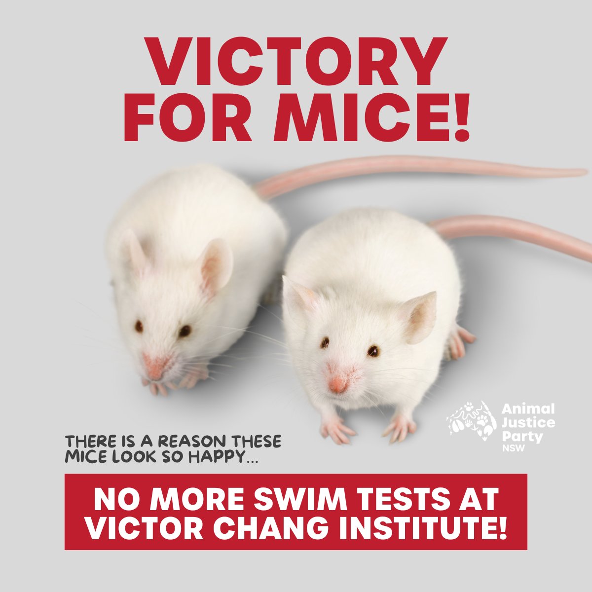 The Victor Chang Cardiac Research Institute has prohibited forced swim tests!!

This positive initiative was sparked by a social post from our MP Emma Hurst about a swim experiment at the Victor Chang institute in 2021 that the Animal Justice Party obtained.
#EndAnimalTesting