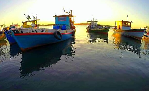 CludioAbdon's tweet photo. Bom dia✌
Canto do mangue
📷Cláudio Abdon
#goprobrasil https://t.co/tNJrLEgjaU