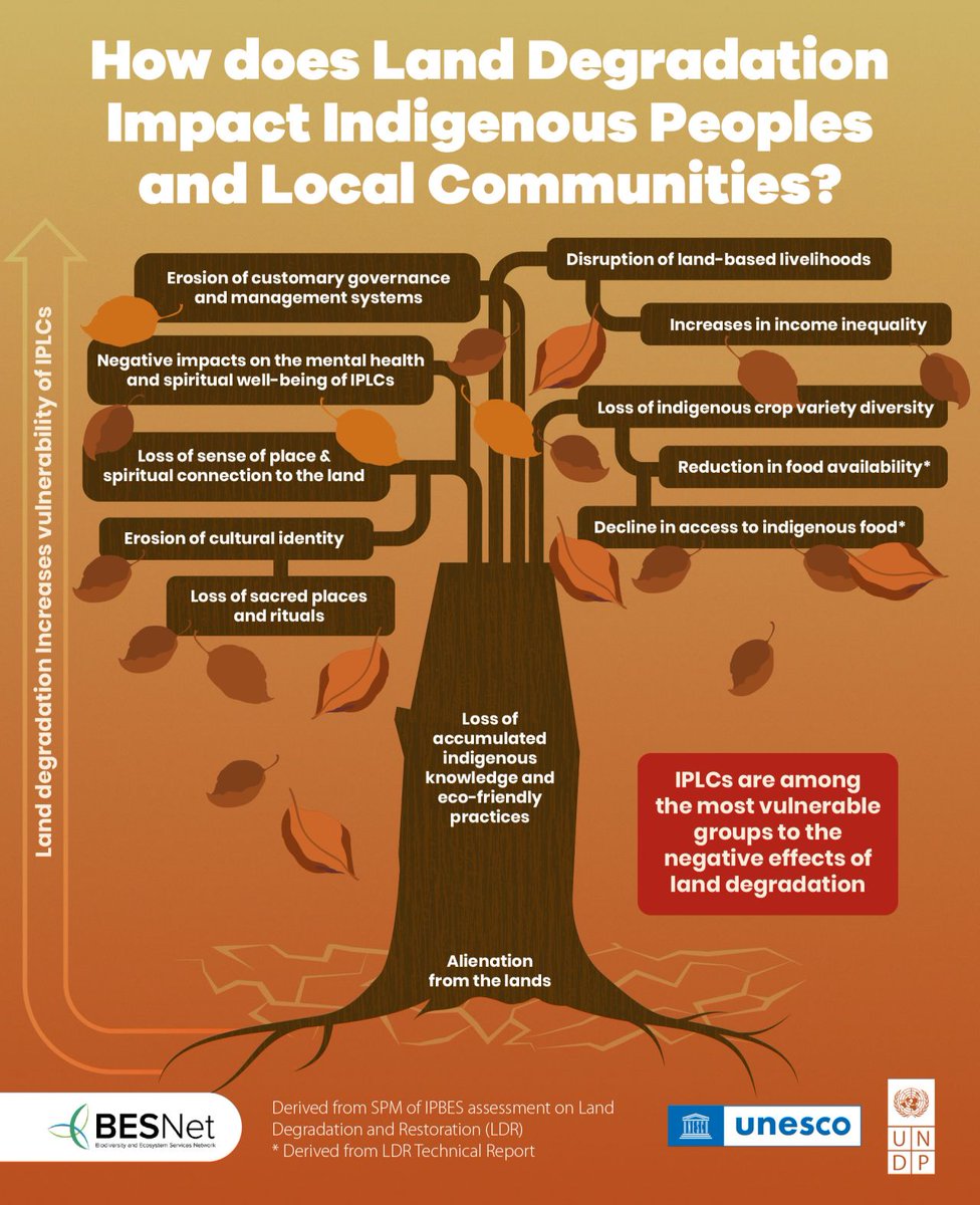 🌱🌾 Land degradation poses a grave threat to indigenous peoples and local communities worldwide. 🚫 Loss of traditional lands, disrupted ecosystems, and diminished livelihoods are just a few of the devastating impacts. 🌿 

Learn more ⬇️

Via <a href="/BESNet_UNDP/">BES-Net (Biodiversity and Ecosystems Network)</a> <a href="/UNESCO/">UNESCO 🏛️ #Education #Sciences #Culture 🇺🇳</a> <a href="/UNDP/">UN Development</a>