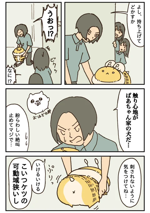 デカいはち③