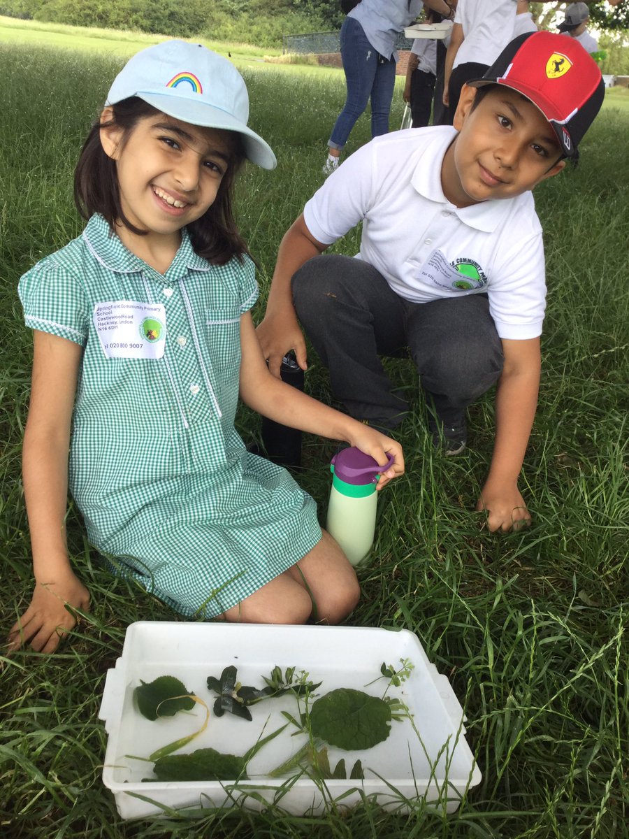 SpringCPS's tweet image. Birch class were plant detectives at Hampstead Heath! We explored different seeds and leaves from the variety of nature around. We even used nature to male out very own plants. #year2science