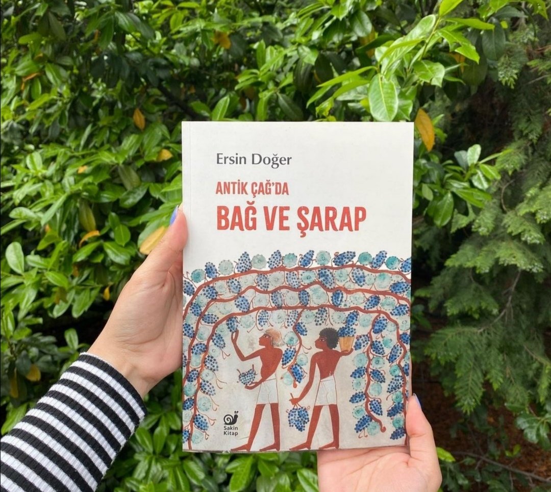 dileksisli's tweet photo. Antik Çağ’da Bağ ve Şarap/Ersin Doğer
@SakinOkurlar
✨
#kapaktasarımı #bookcoverdesign
✨
Antik Çağ’da Bağ ve Şarap, antik dönem hikâyesini efsaneler, gerçekler ve kaynaklar vasıtayla araştırırken bir yandan da şarabın Anadolu’daki ilk dönemiyle ilgili bilgiler sunuyor. https://t.co/eWYg3lc4gW