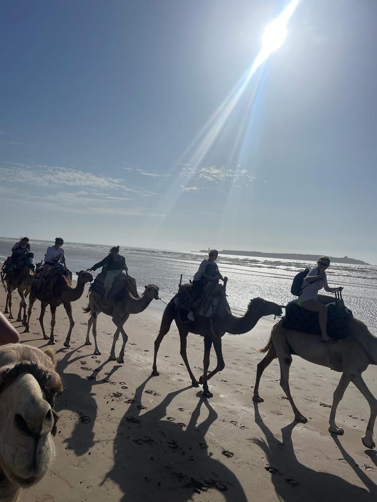 CundallManor's tweet photo. ✈Hurry home Yr 11 Pupils and have a safe flight! Your Morocco trip photos look amazing;🌞check them out! #Cundall https://t.co/cNOZLL9C9z