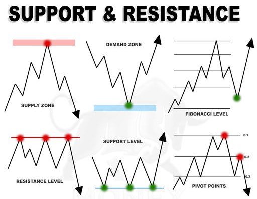Steve Burns on Twitter: 