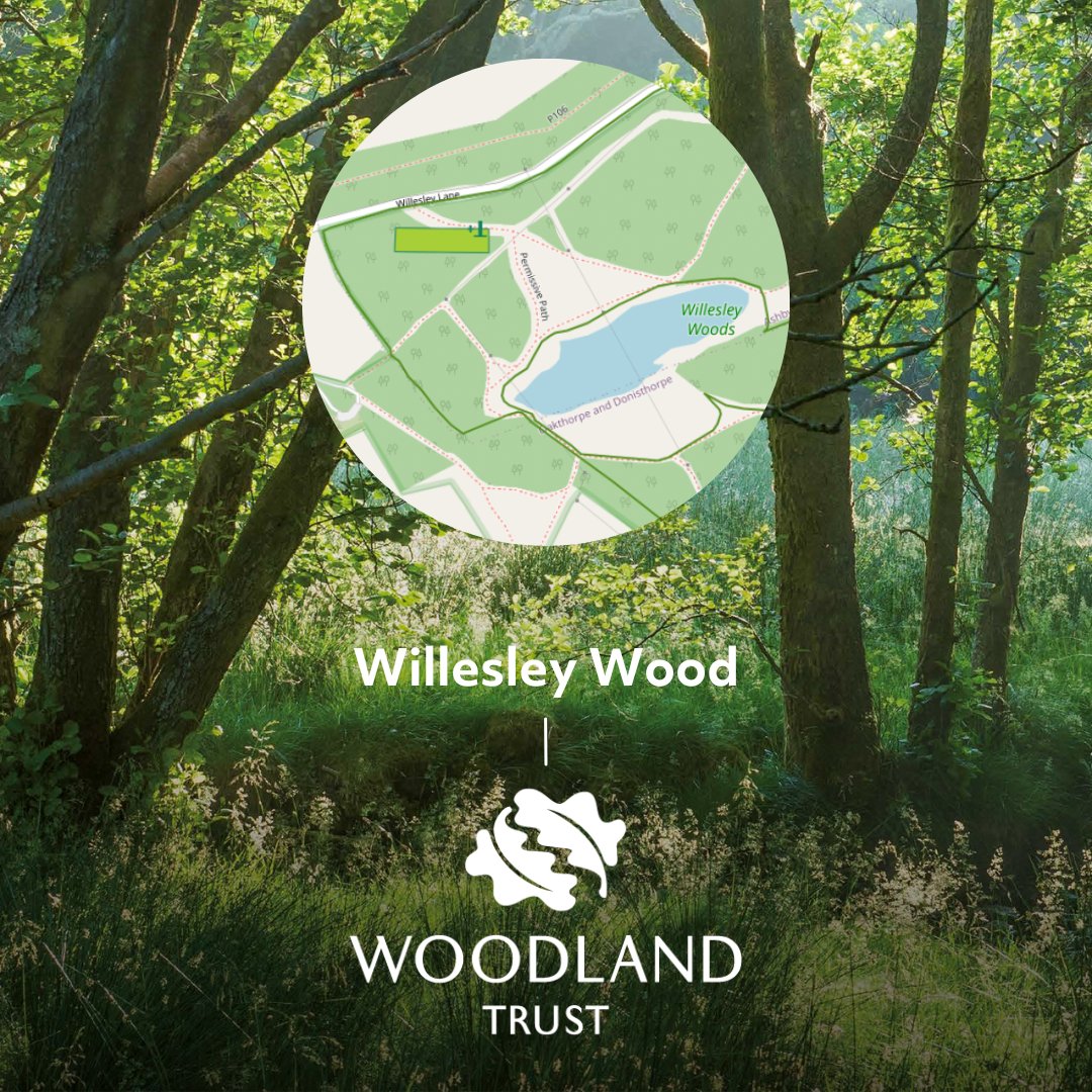DimensionsMiHub's tweet image. 🌳 To celebrate our move to #paperlessbilling, our parent company, Mi Hub has dedicated an acre of woodland in Willesley Wood. Going paperless supports our group ESG Carbon objective to achieve verified carbon neutrality on scopes 1 &amp;amp; 2 by 2030 and scope 3 by 2040. 🌎